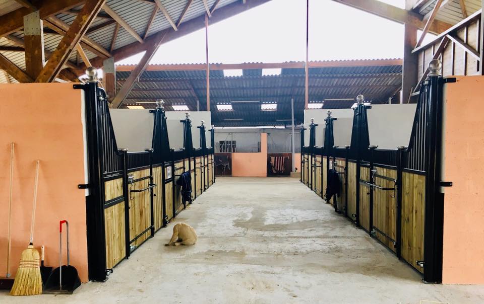 Voici quelques-uns de nos boxs pour la pension de votre cheval à Bordeaux en Gironde.
